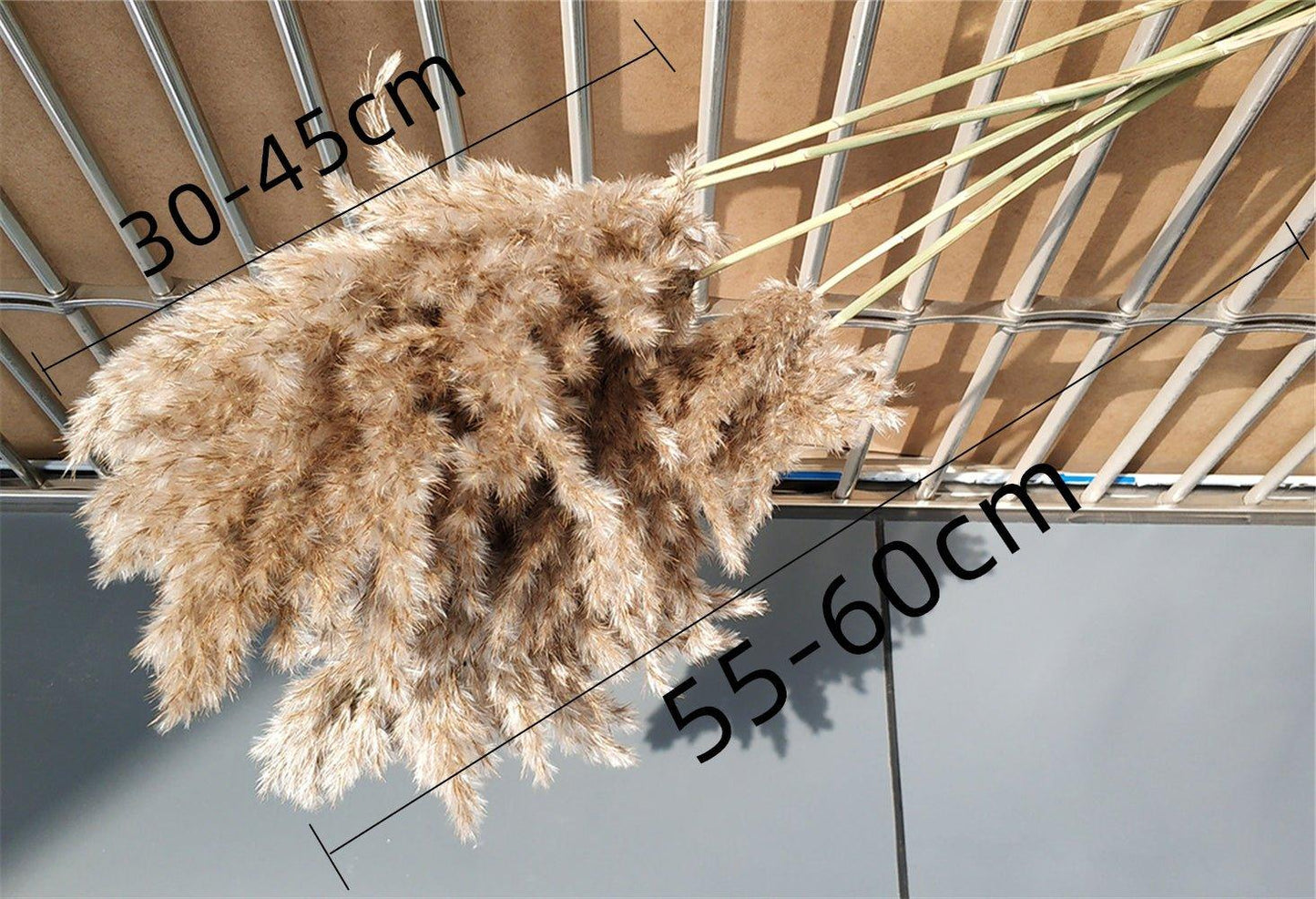 Natural Dried Pampas Grass Bouquet 60 cm - Fluffy Boho Decor
