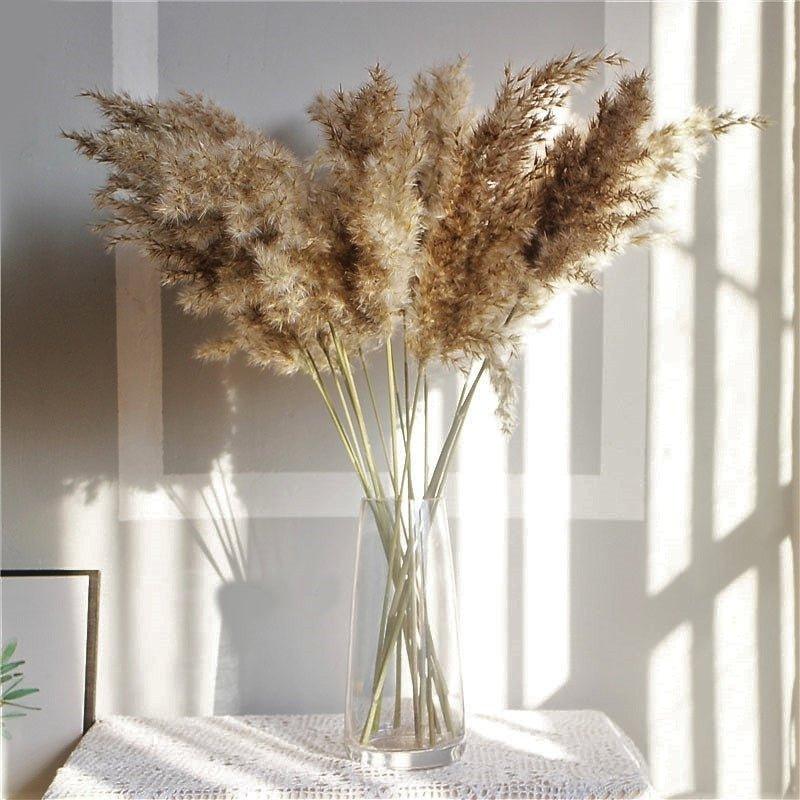 Dried Pampas Grass Bouquet 60 cm Natural Brown-Beige Feathers