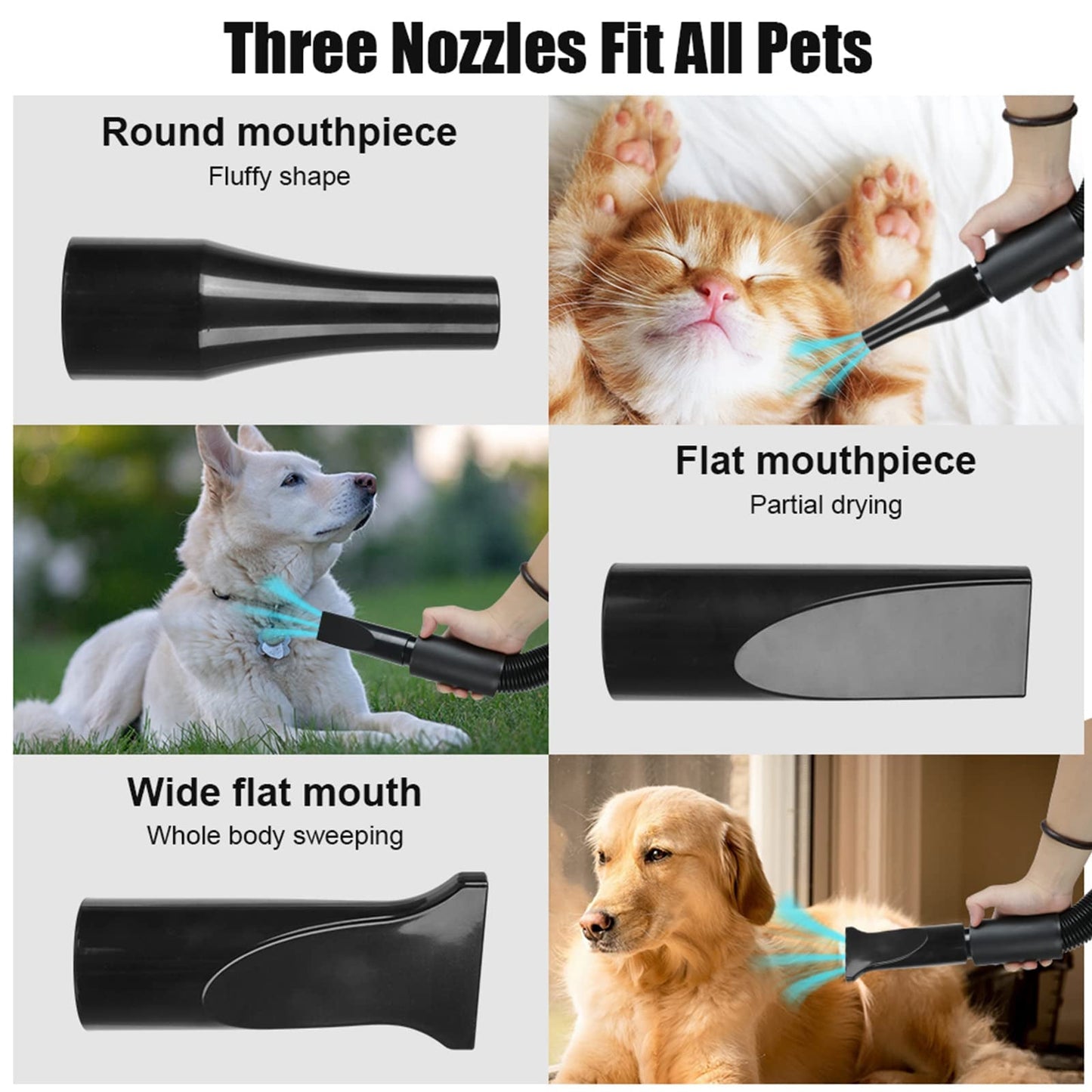 High Velocity Dog Grooming Dryer with Adjustable Heat and Flexible Hose