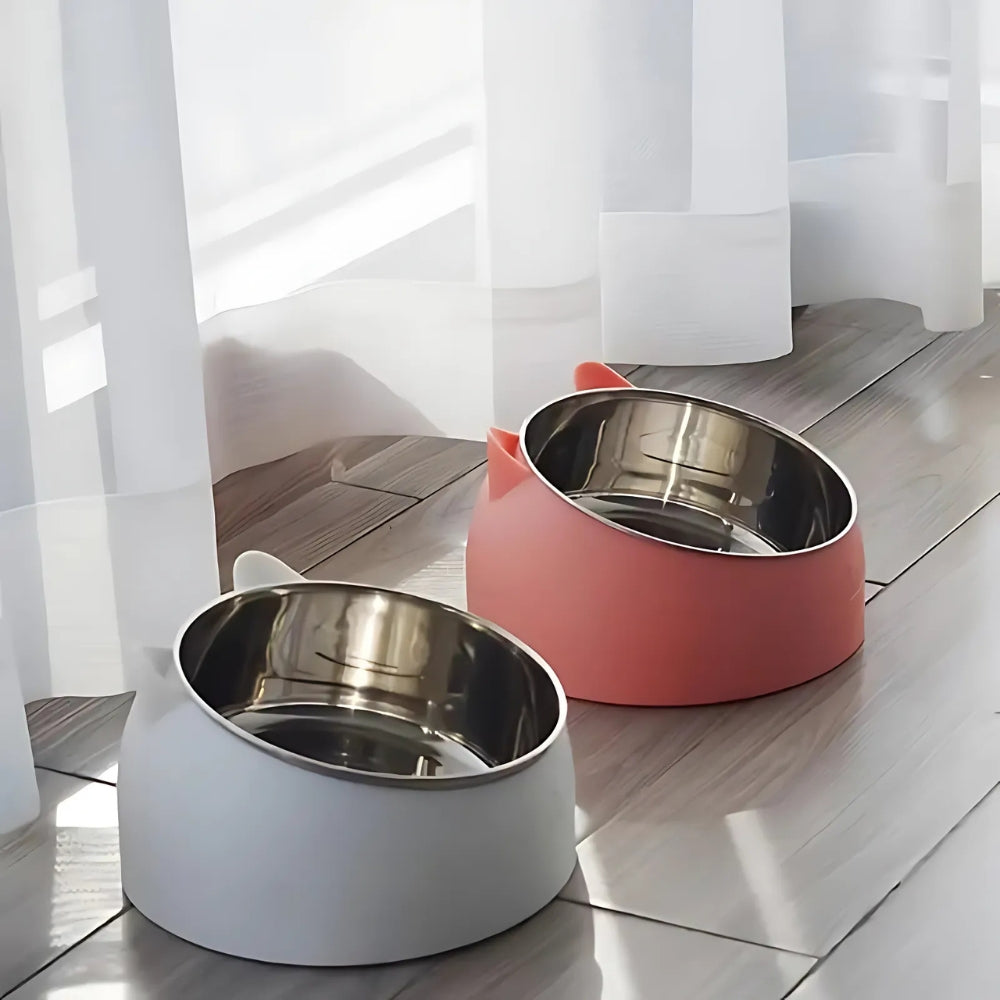 Tilted Stainless Steel Cat Feeding Bowl with Non-Slip Base