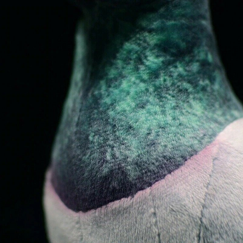 Common Pigeon Plush Stuffed Toy for Kids