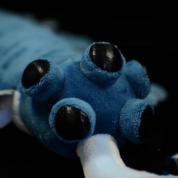 Opabinia Regalis Plush Toy with Five Eyes