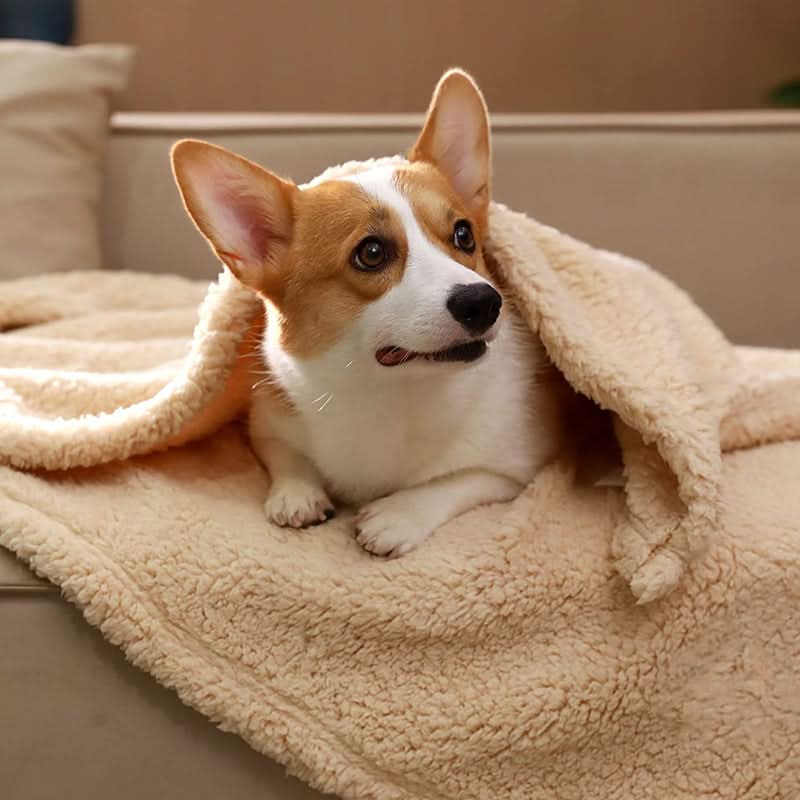 Premium Soft Fleece Pet Blanket for Ultimate Comfort