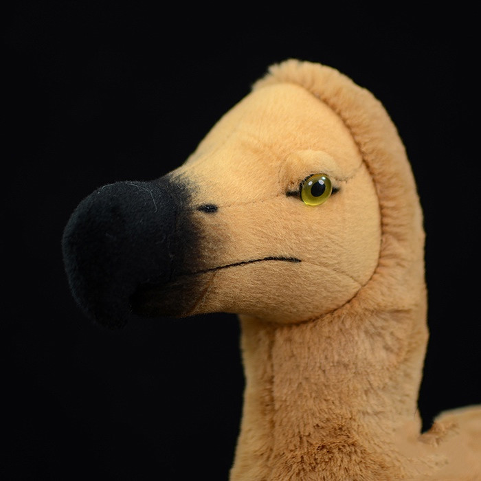 Dodo Bird Soft Plush Toy for Ages 3+