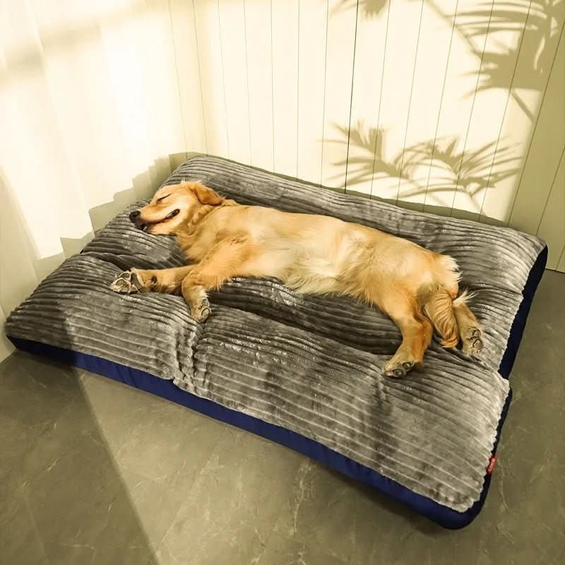 Orthopedic Dog Bed with Plush Cover for Joint Support and Comfort