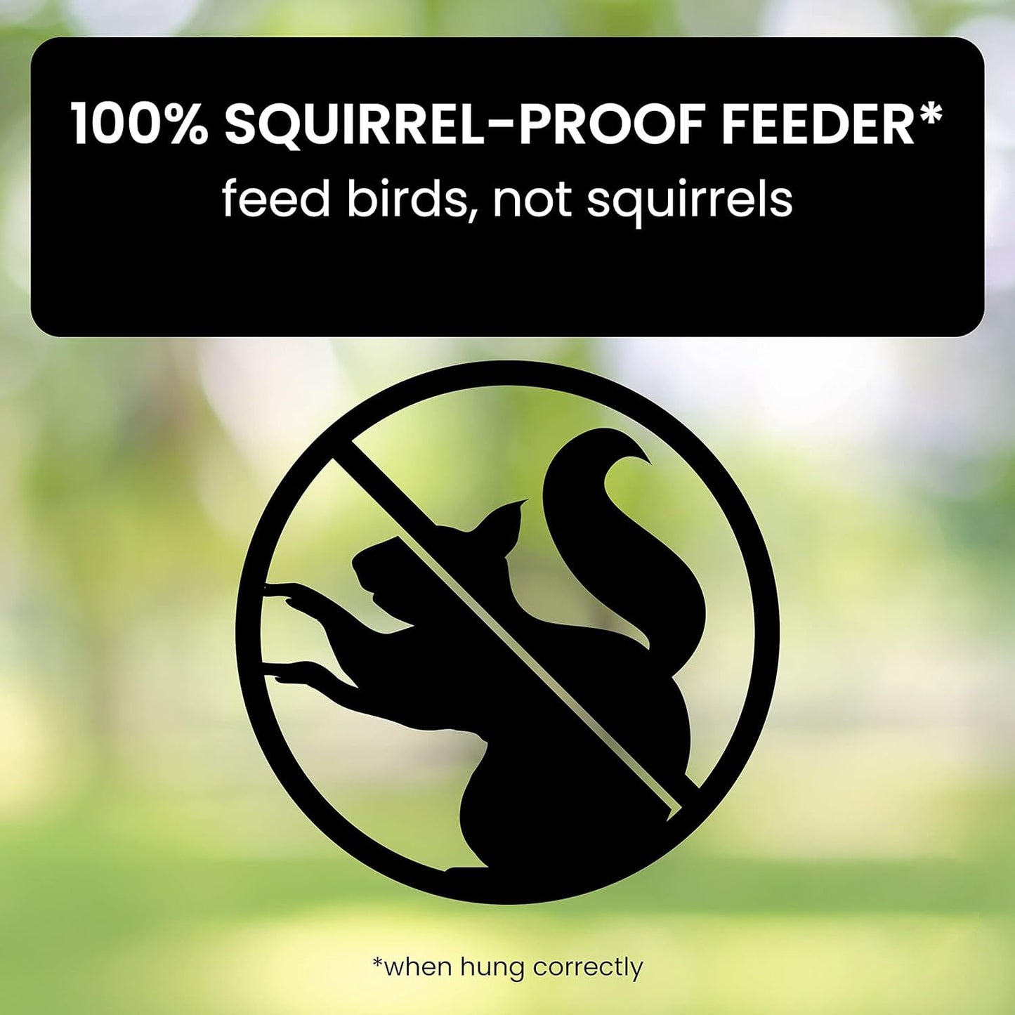 Squirrel-Proof Metal Wild Bird Feeder with Weight-Activated Perch