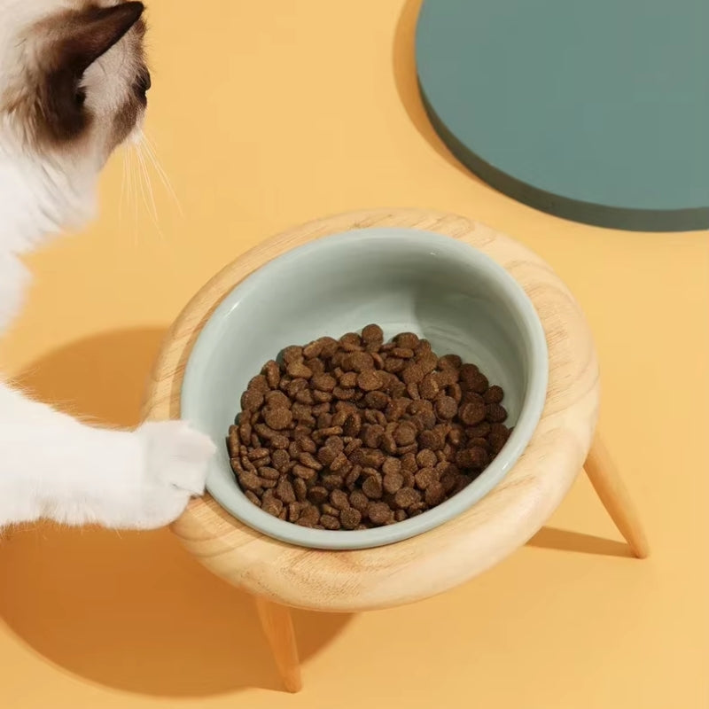 Ceramic Elevated Cat Bowl with Wooden Stand