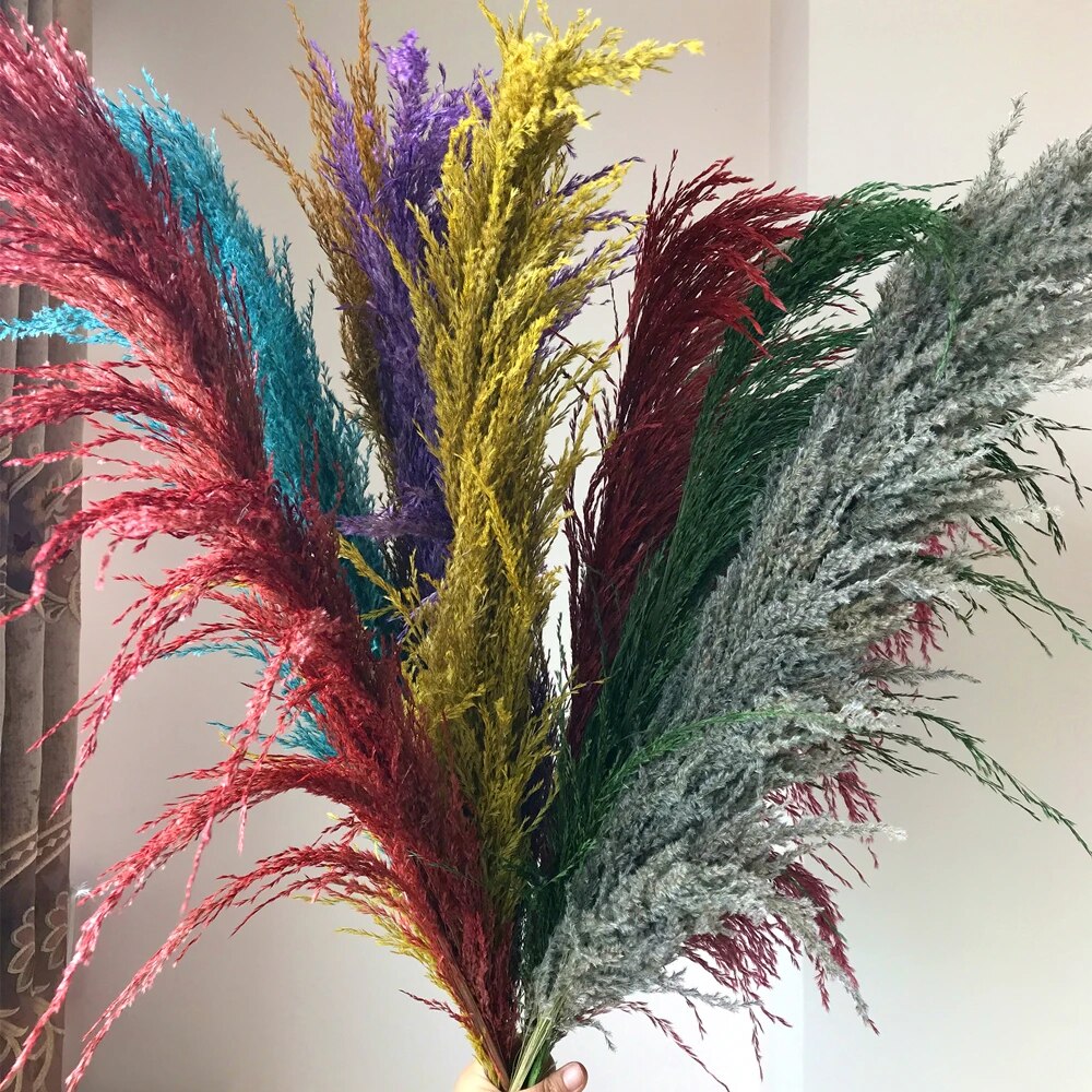 Dried Pampas Grass Flowers - Natural Boho Decor