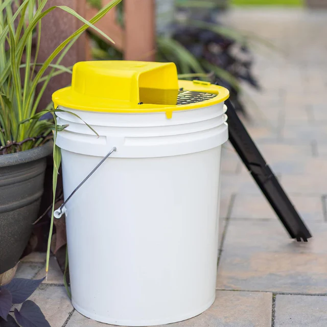 Humane Reusable Mouse and Rat Bucket Trap