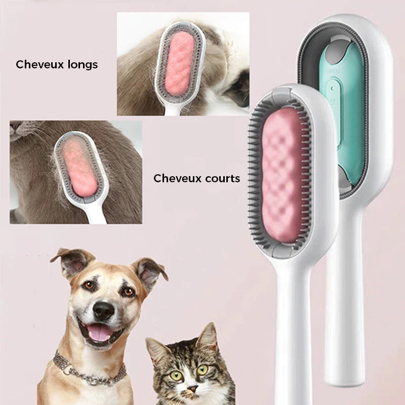 Pet Grooming Comb with Water Reservoir and Massage Function