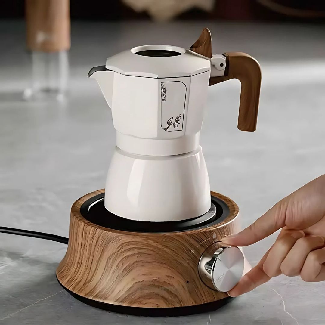 Compact Electric Hot Plate with Adjustable Temperature Control