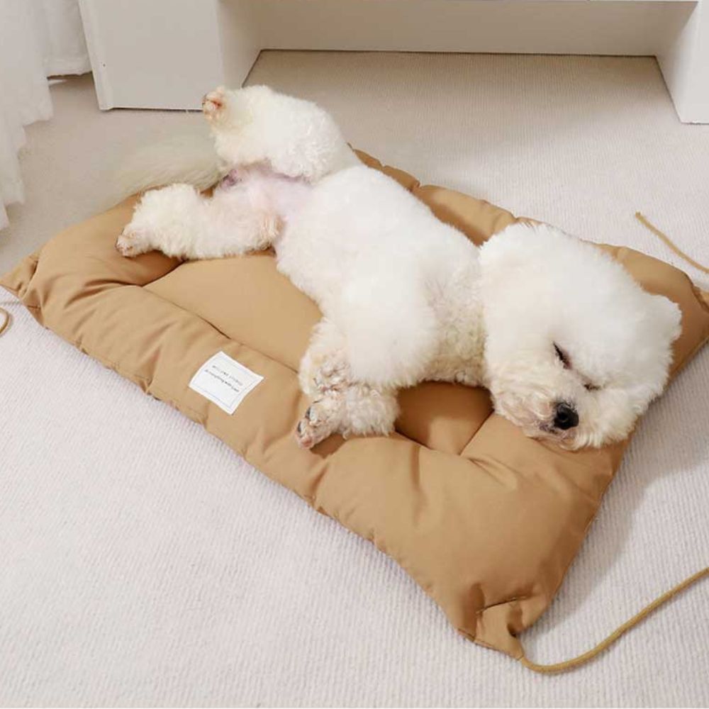 Water-Resistant Microfiber Pet Mat for Dogs and Cats