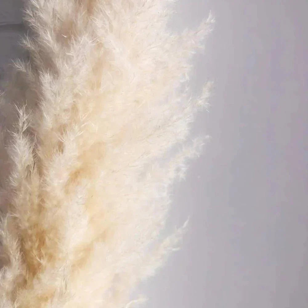 Natural Dried Pampas Grass Bouquet 80 cm in White Beige Gray