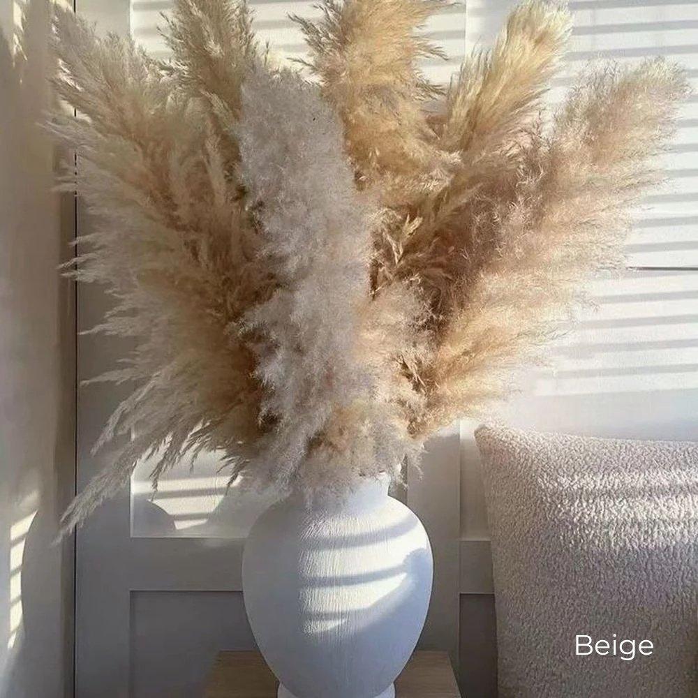 Natural Dried Pampas Grass Bouquet 80 cm - Fluffy White Beige Gray Feathers