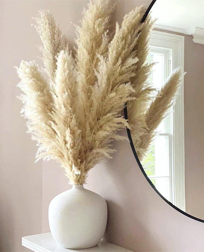 Natural Dried Pampas Grass Bouquet 80 cm - Fluffy White Beige Gray Feathers