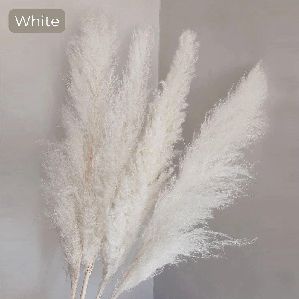 Natural Dried Pampas Grass Bouquet 80 cm - Fluffy White Beige Gray Feathers
