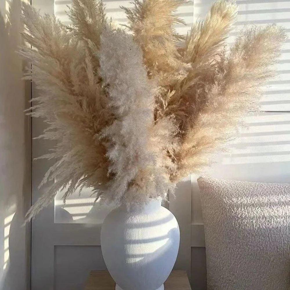 Natural Dried Pampas Grass Bouquet 80 cm in White Beige Gray
