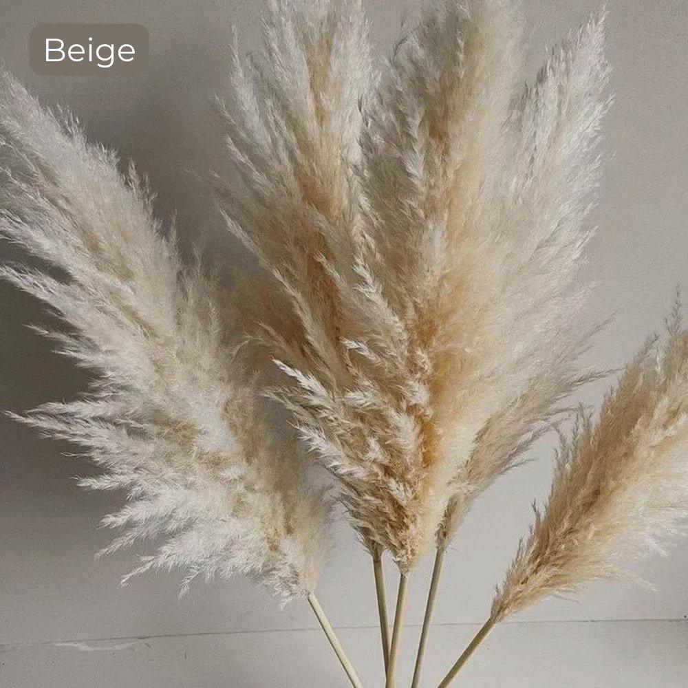 Natural Dried Pampas Grass Bouquet 80 cm - Fluffy White Beige Gray Feathers
