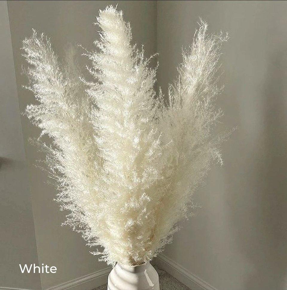 Natural Dried Pampas Grass Bouquet 80 cm in White Beige Gray