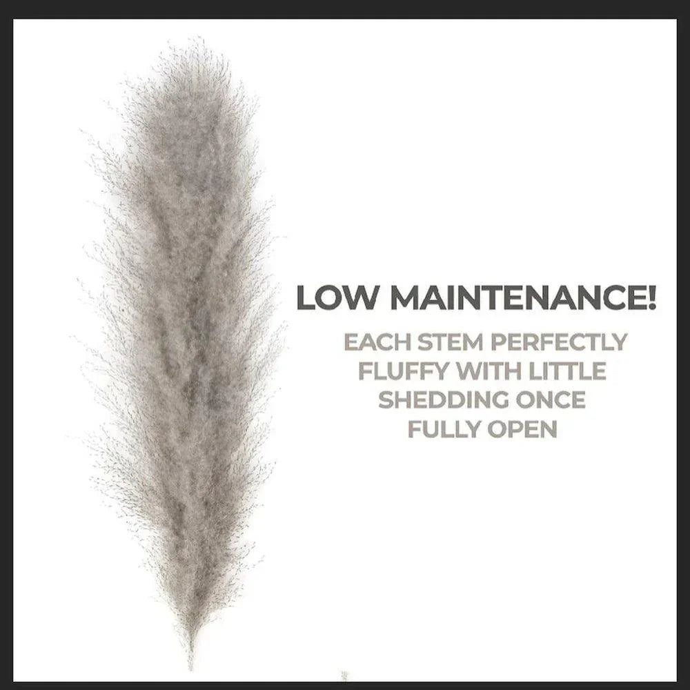 Natural Dried Pampas Grass Bouquet 80 cm - Fluffy White Beige Gray Feathers