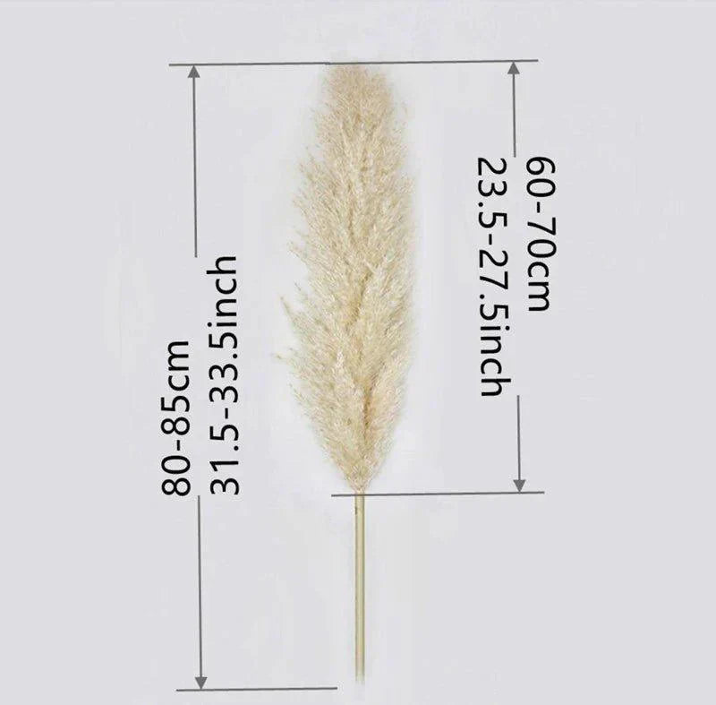 Natural Dried Pampas Grass Bouquet 80 cm - Fluffy White Beige Gray Feathers