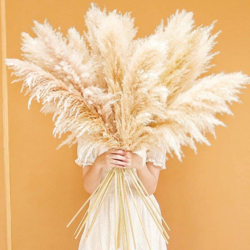 Natural Dried Pampas Grass Bouquet 80 cm - Fluffy White Beige Gray Feathers