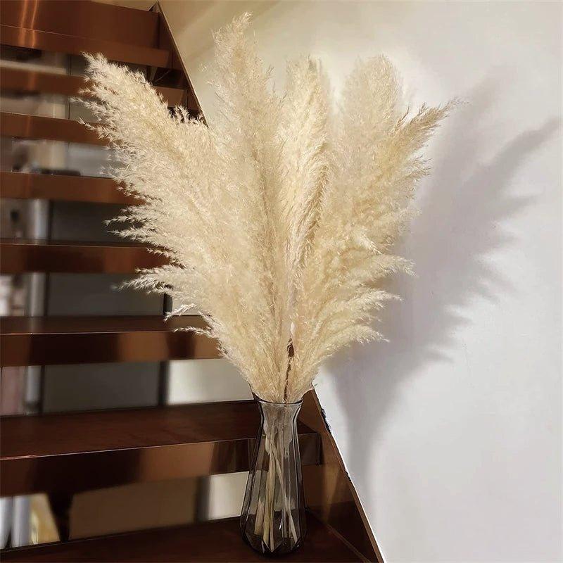 Natural Dried Pampas Grass Bouquet 80 cm in White Beige Gray