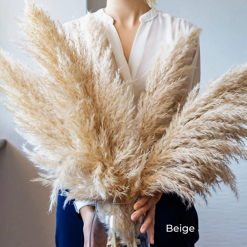 Natural Dried Pampas Grass Bouquet 80 cm in White Beige Gray
