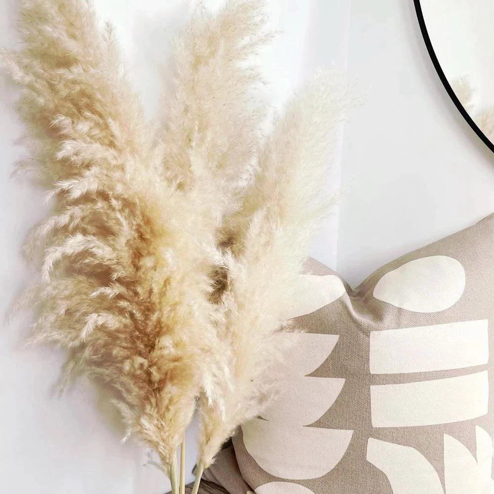 Natural Dried Pampas Grass Bouquet 80 cm - Fluffy White Beige Gray Feathers