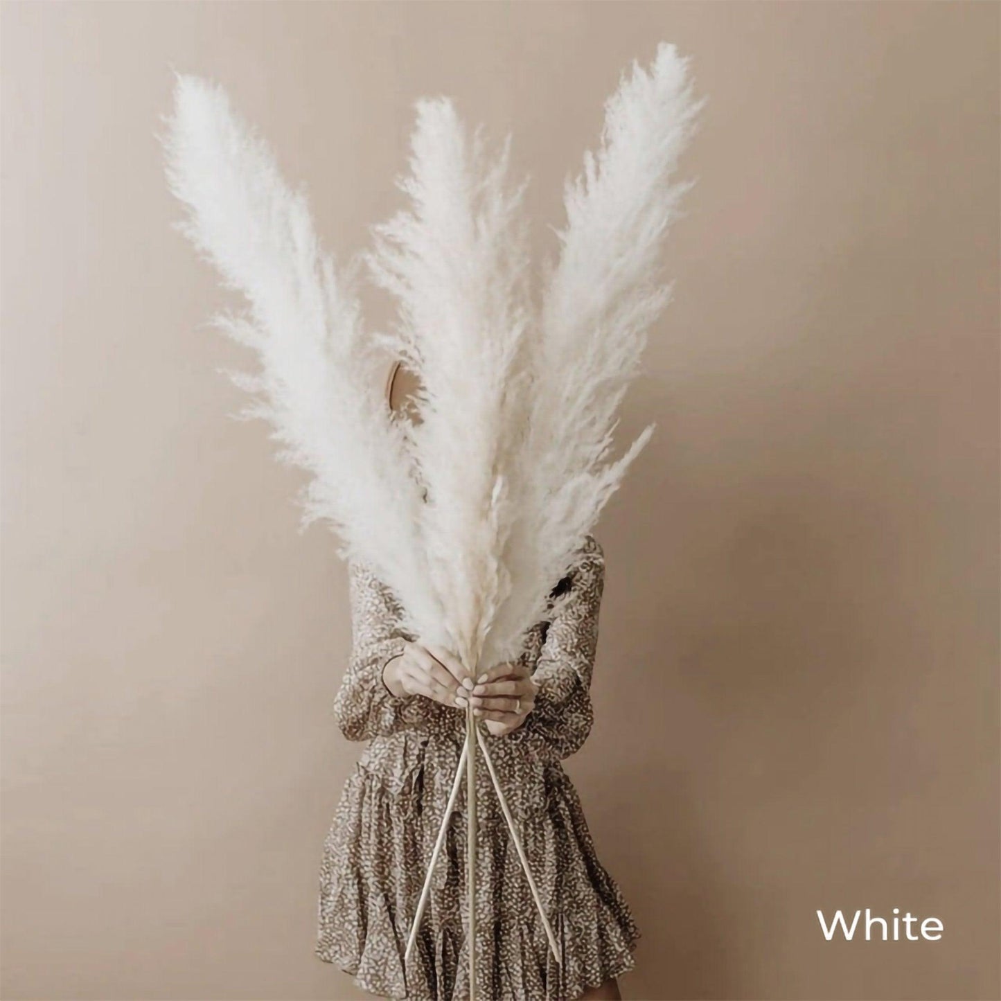 Natural Dried Pampas Grass Bouquet 80 cm - Fluffy White Beige Gray Feathers