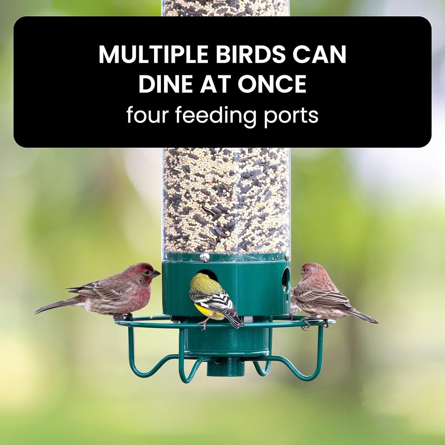 Squirrel-Proof Metal Wild Bird Feeder with Weight-Activated Perch