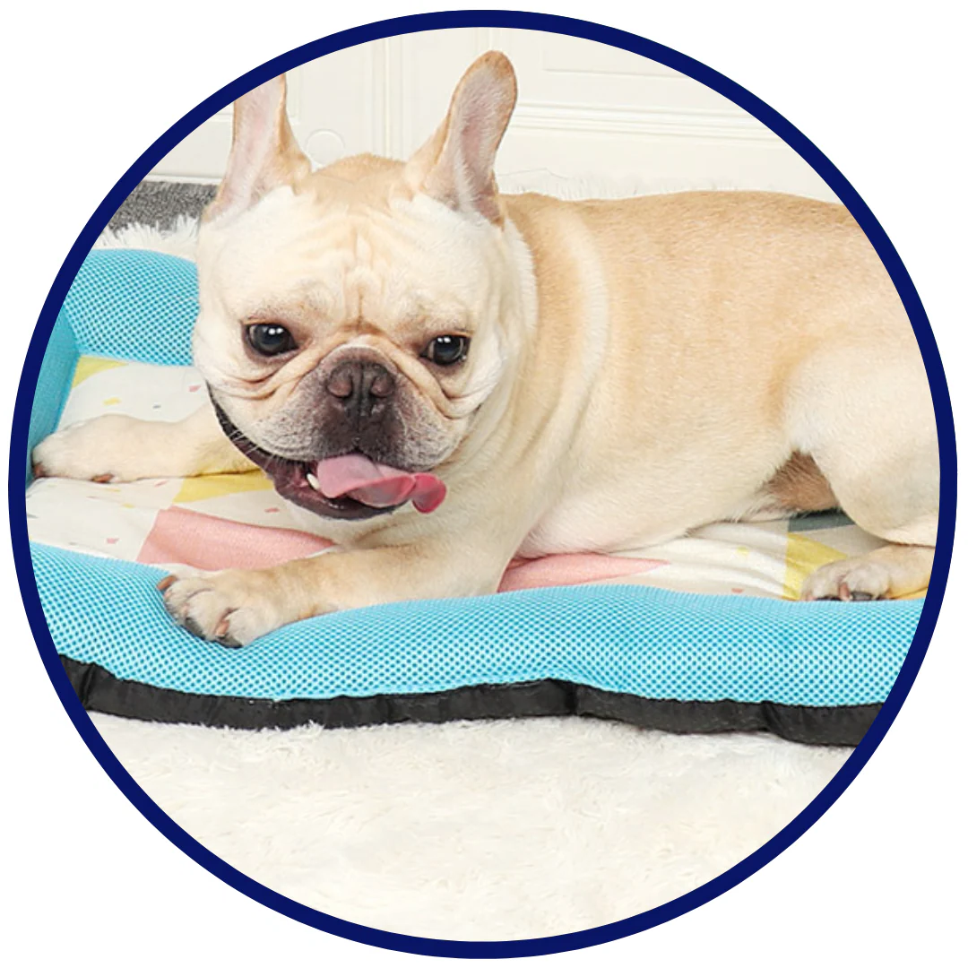 Silky Cooling Mat for Pets - Portable Gel-Infused Comfort