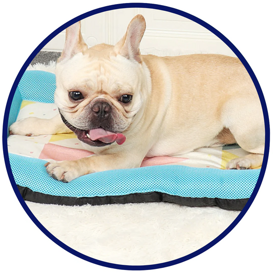 Silky Cooling Mat for Pets - Portable Gel-Infused Comfort