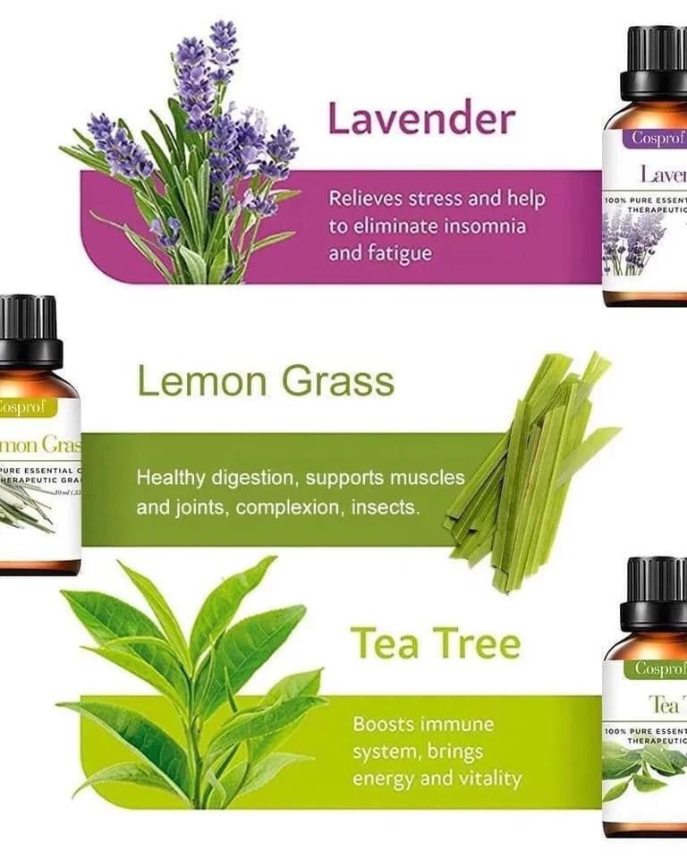 12 Essential Oils Gift Set for Aromatherapy and Home Use
