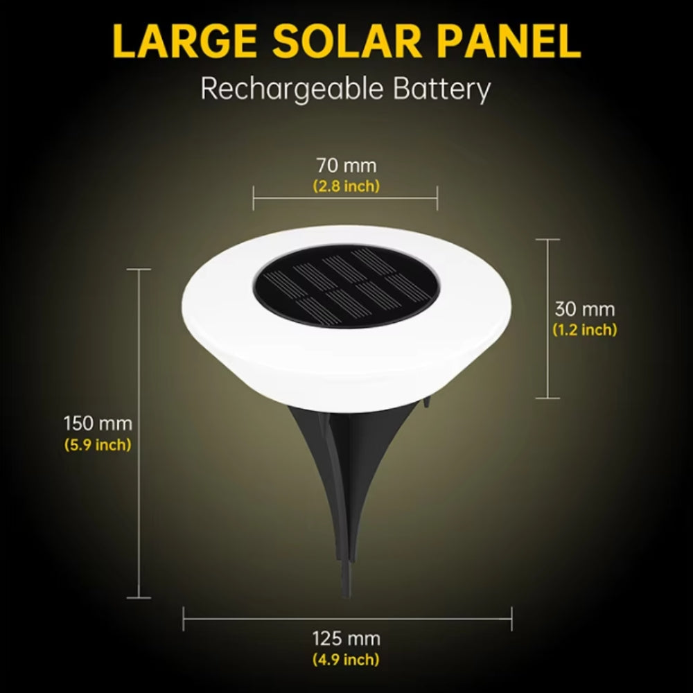 Solar-Powered LED Pathway Lights with Automatic Illumination