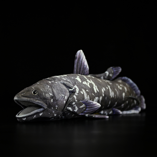 Coelacanth Fish Soft Stuffed Plush Toy