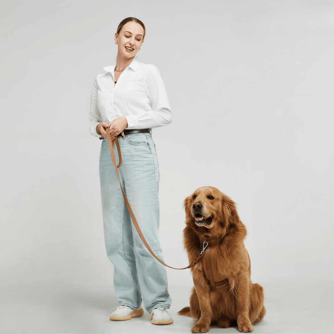 ComfyPaws No-Pull Dog Harness Walking Set with Leash and Poop Bag Holder