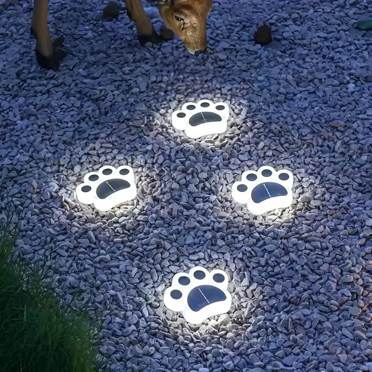 Solar-Powered Paw-Shaped Garden Lights