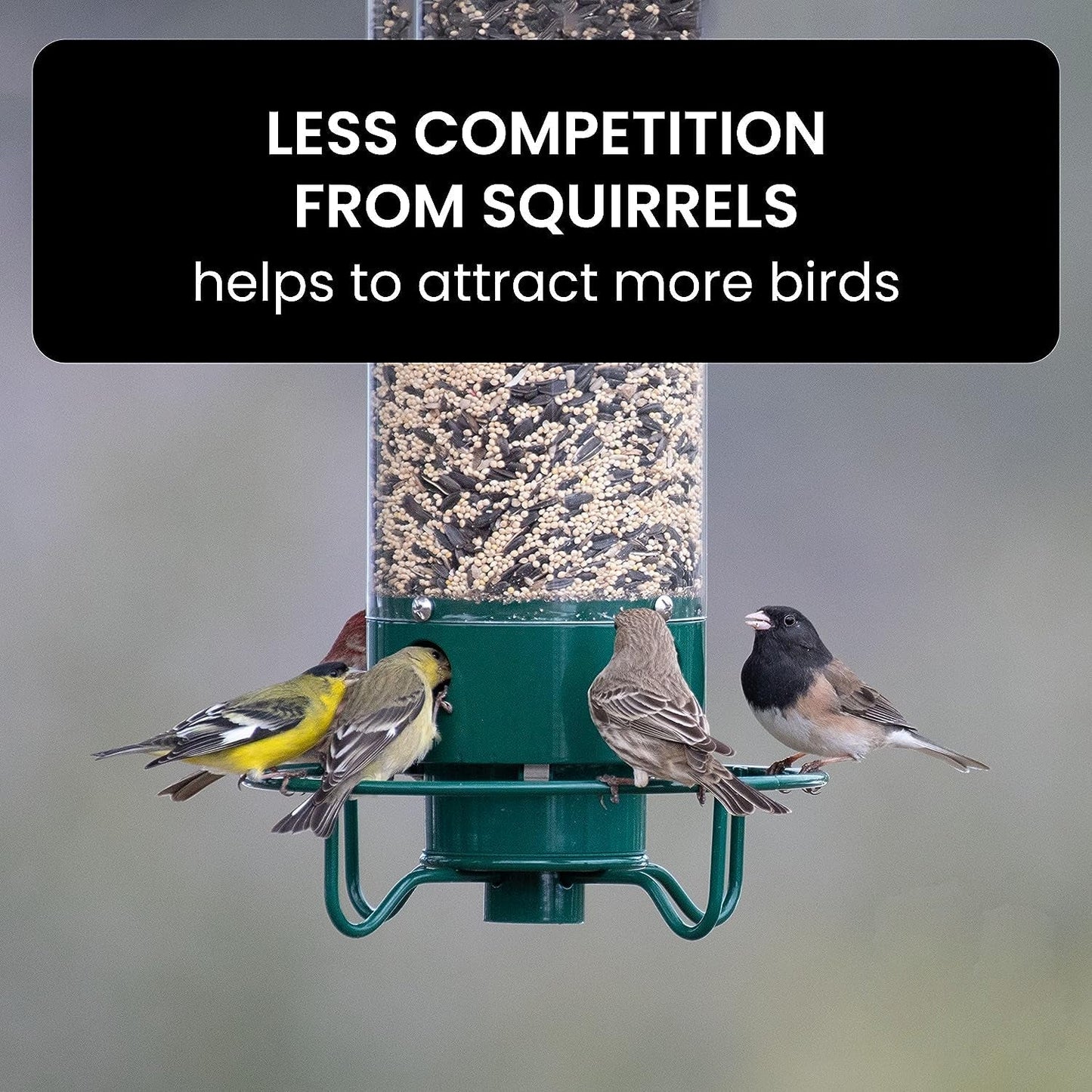 Squirrel-Proof Metal Wild Bird Feeder with Weight-Activated Perch