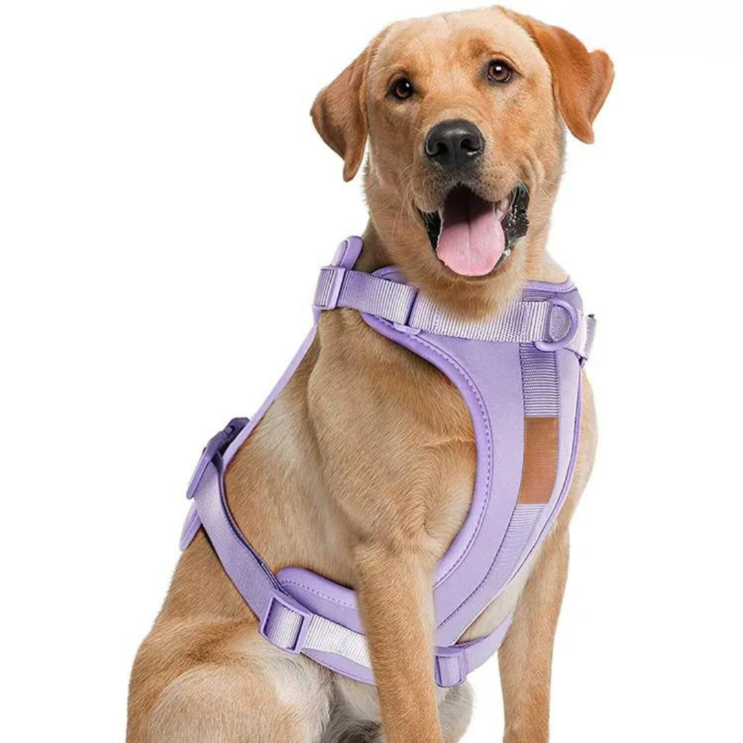 ComfyPaws No-Pull Dog Harness Walking Set with Leash and Poop Bag Holder