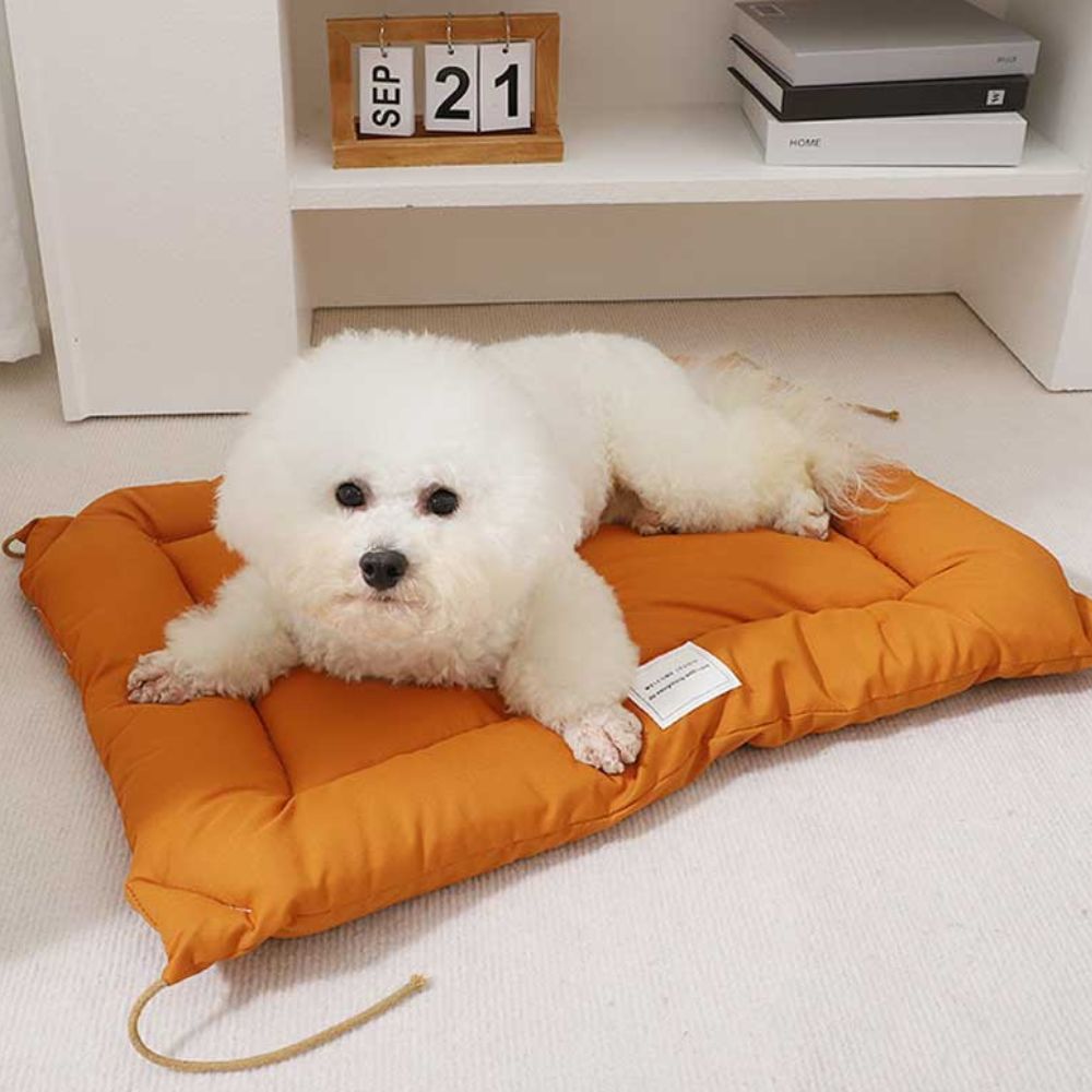 Water-Resistant Microfiber Pet Mat for Dogs and Cats