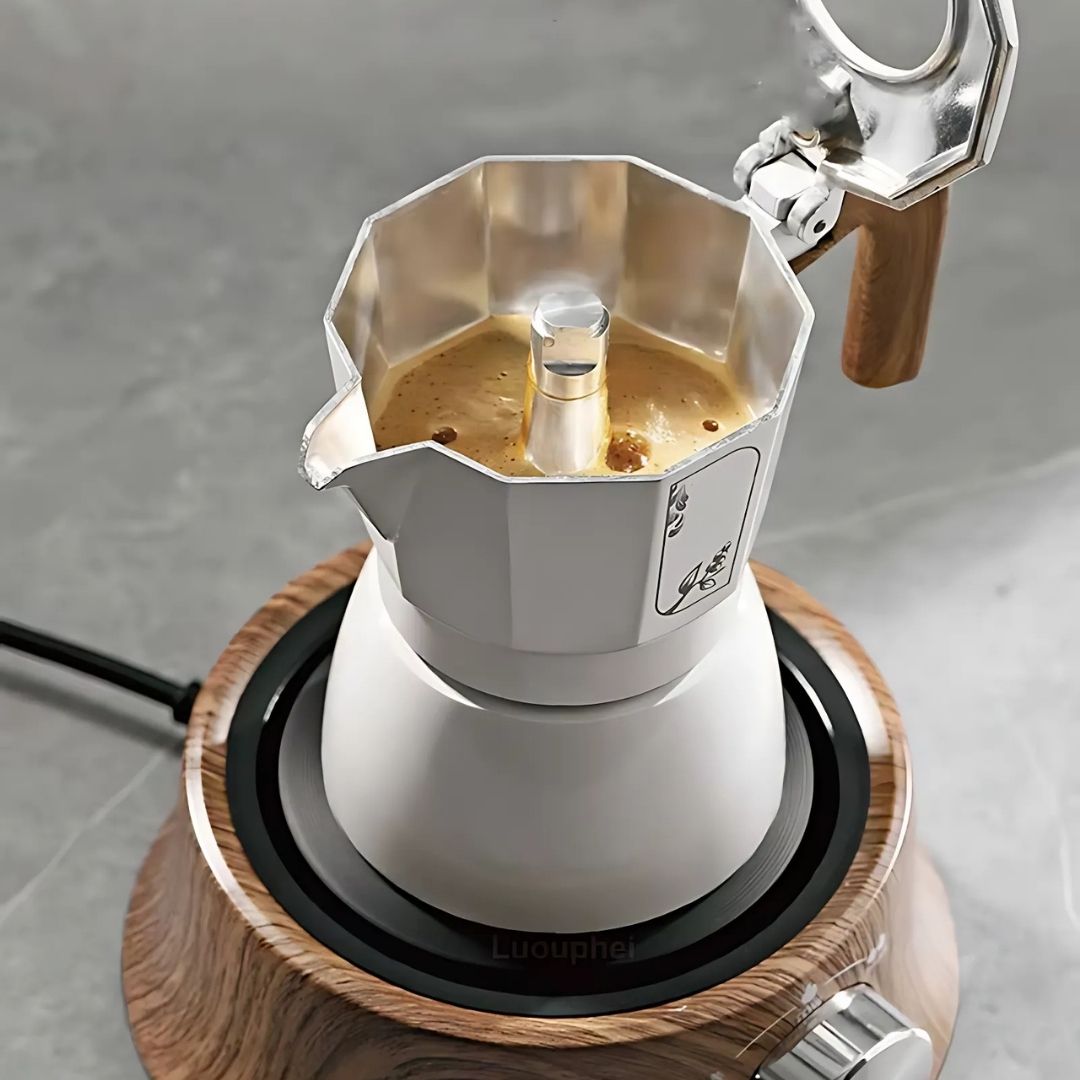 Compact Electric Hot Plate with Adjustable Temperature Control
