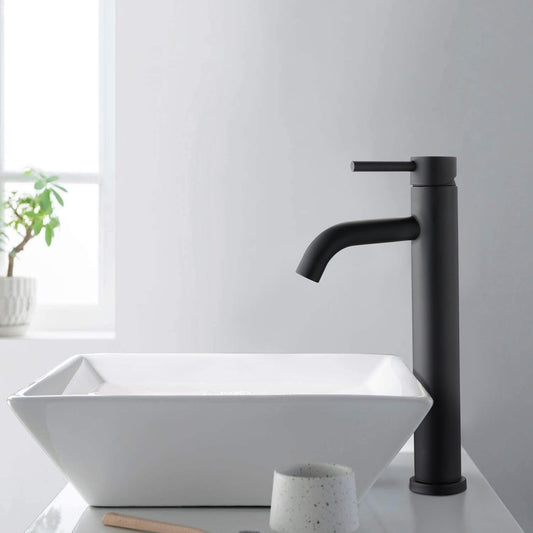 Matte Black Single Handle Cold Water Faucet for Sink