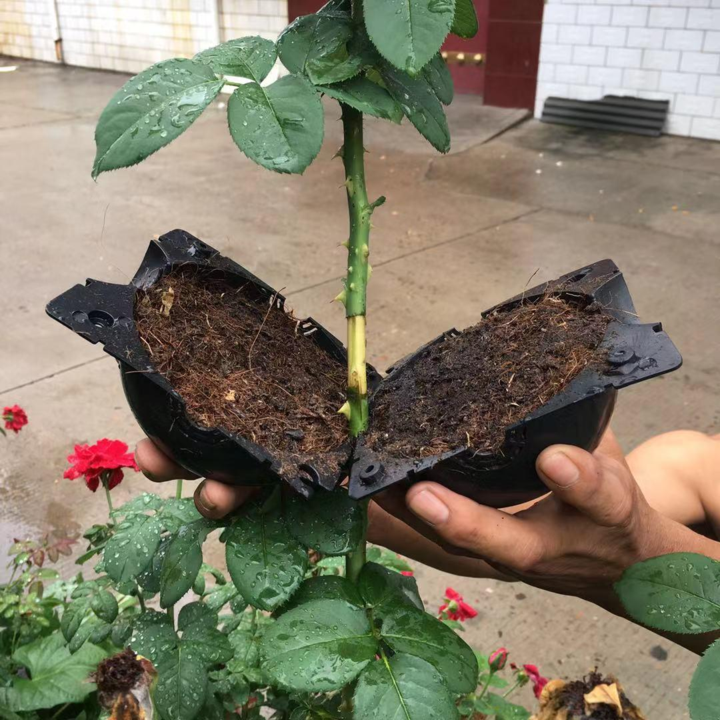 Air Layer Plant Propagation Capsule for Easy Plant Growth