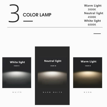 Nordic Round LED Flush Mount Ceiling Light in Black, Gold, or White