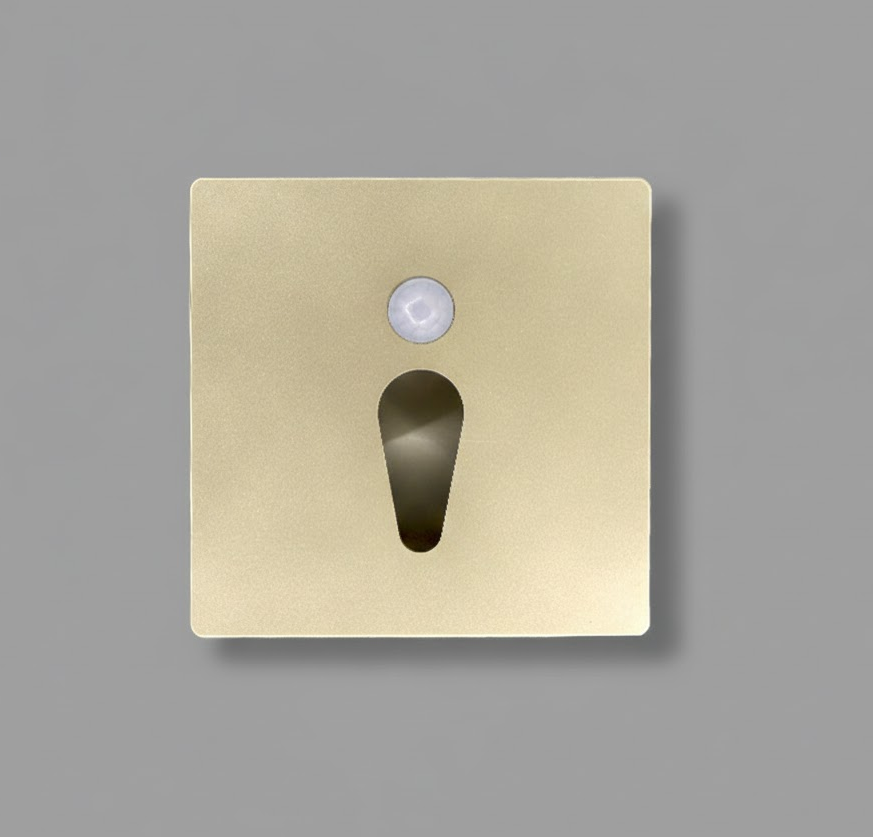 Motion Sensor LED Wall Light for Stairways and Hallways