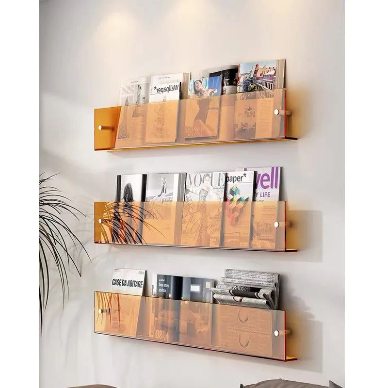Clear Acrylic Wall Shelf for Magazines and Books