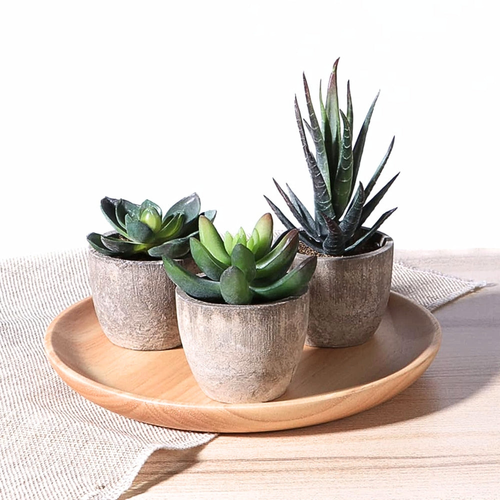 Realistic Artificial Succulent Plant in Rustic Stone Pot