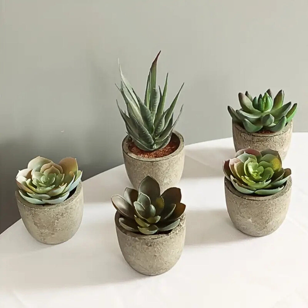 Realistic Artificial Succulent Plant in Rustic Stone Pot