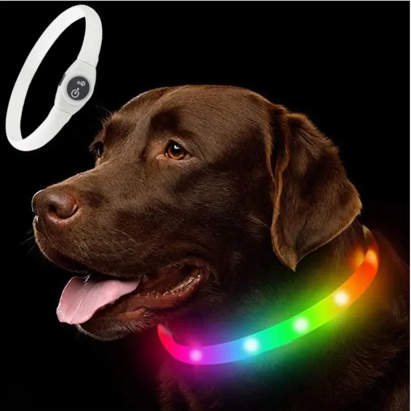 LED Waterproof Dog Collar with Rechargeable Lights